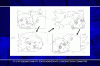 PDVD_021.GIF