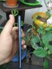 Resizer_160848407231926.jpg