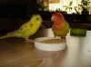DSC07214.jpg
