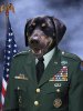 A50-General-Officer-Pet-Portrait-2_bc4fb565-edeb-47a2-a947-3050ee8e8623_800x.jpg