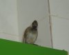 DSC0485422.jpg