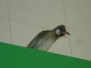 DSC04855222.jpg