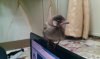 IMAG0031.jpg