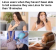 1633482104041.png