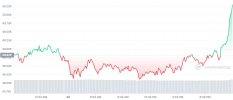 BTC_1D_graph_coinmarketcap (2).jpg