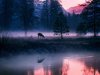Mystical_Waters_-_Yosemite.jpg