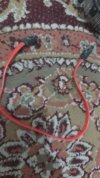 IMG_20230422_180616_728.jpg
