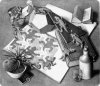 _Fh_fh00001moris_esher_1898_1972_-_reptilii_-_1943.jpg