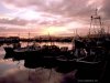 Dingle, Ireland harbor at sunset.jpg