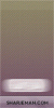 banner.gif