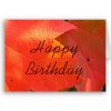 red_leaves_birthday_card-p137707576538630006b2wgi_400.jpg