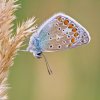 Photographer-Frank-Beer-20.jpg