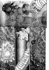 Berserk_v33c287p11.png