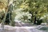 Lane%20in%20Pirton,%20Watercolour,%2020.5inx14in.jpg