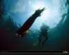 giant-squid-and-diver-760214-xl.jpg