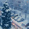Let-It-Snow-II.jpg