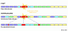 interleave2.gif