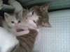 10042010025.jpg