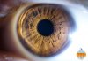 Eye_macro.jpg