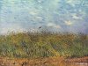 vangogh_wheatfieldwithlark.jpg