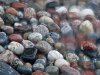 pebbles_800.jpg