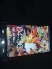 as20130408421.jpg