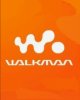 Walkman_Orginal-pt.jpg