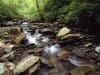 Stream Along Alum Caves Bluff Trail, Great Smoky Mountains National Park, Tennessee-a.jpg