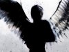 Dark-Angel-21114.jpg