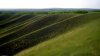 Rolling-Hills-Closeup-1.jpg