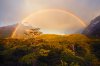 750x500xDouble-Rainbow,,-Dwarf-Forest,,-Laguna-Torre.jpg