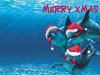 Wallpapers%20Christmasanimal1wallpapers.jpg