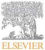 elsevier.jpg elsevier.jpg