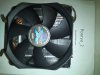 IMG_20130322_184539.jpg