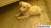 DSC_0057.jpg DSC_0057.jpg