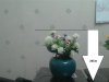 IMG051.jpg