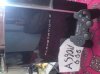 DSC00079.jpg