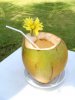 bali-coconut-drink-hotel.jpg