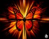 butterfly-wallpaper-1280.jpg