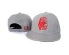 Tyga Last Kings Snapback Hats Caps Grey Red Logo 46328.jpg