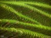 wonders-of-the-world-wallpaper-17.jpg