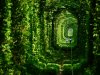 top-33-most-beautiful-abandoned-places-in-the-world-32.jpg