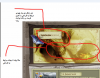 Capture.PNG
