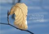Beautiful-Quotes-02.jpg