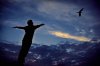 20071218013512_i believe i can fly.jpg