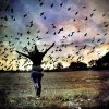 I believe I can fly.jpg