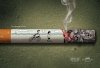 Anti-Smoking Ads 1.jpg