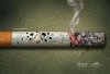 Anti-Smoking Ads 2.jpg