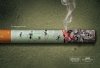 Anti-Smoking Ads 3.jpg