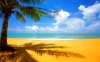 at-the-beach-hd-wallpaper-1280x800.jpeg